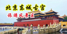 快用你的大鸡巴狠狠的操,美女的骚逼,的免费视频中国北京-东城古宫旅游风景区